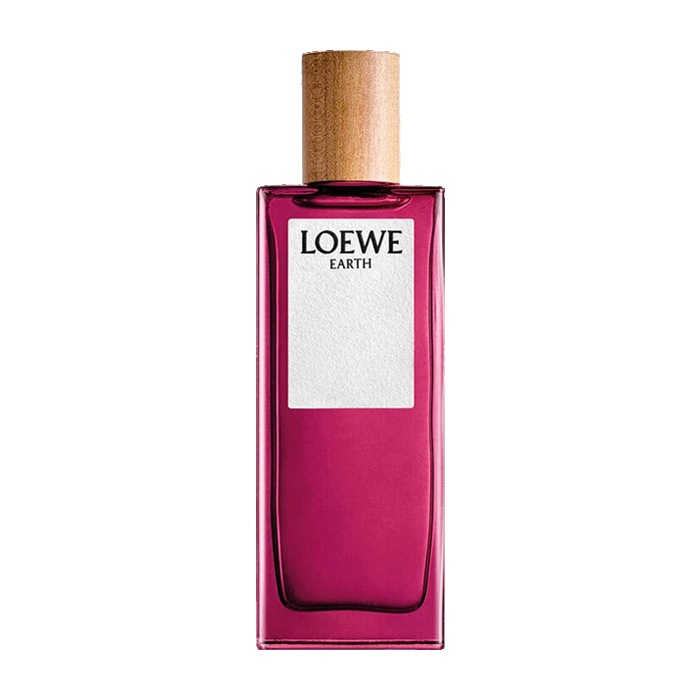 Loewe – Earth
